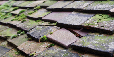 Windmill Hill roof repair costs